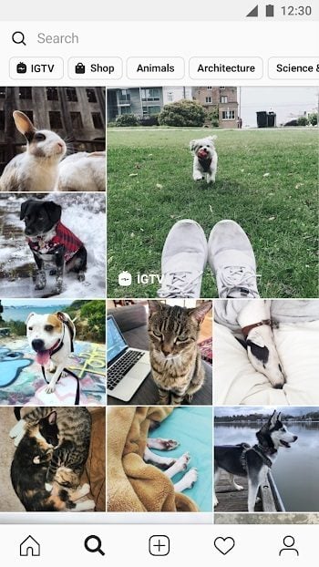 descargar instagram pro apk